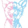 動物4-0927-苗栗大同高中排球社(A9-57)