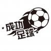 圖文5-0113-蘆洲成功國小足球隊(A1-19)