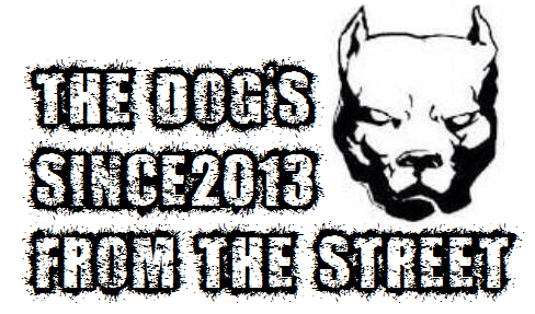 TheDogs