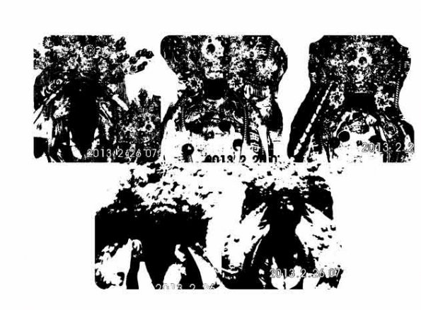sample254