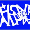 sample231