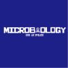 文字20-0925-東吳大學微生物系(A9-37)